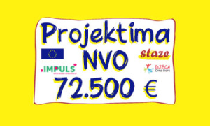Poziv: podrška projektima NVO